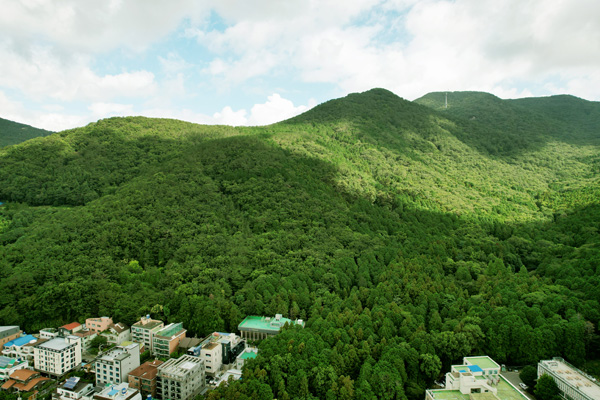 엘앤더슨병원 전경